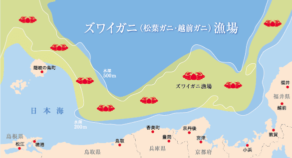 松葉ガニと越前ガニの違いについて